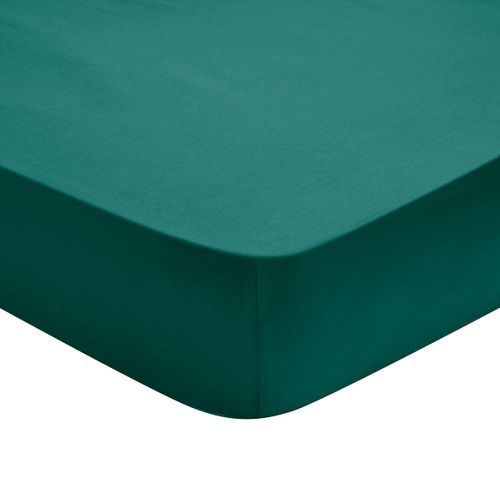 Drap Housse Influence Percale Forêt 80 X 190 Cm Vert