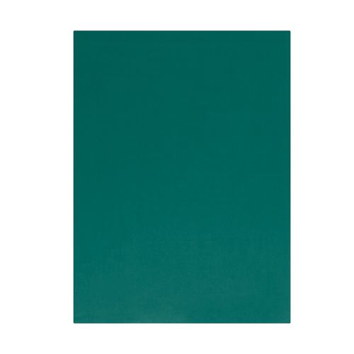 Drap Plat Influence Percale Forêt 270 X 310 Cm Vert
