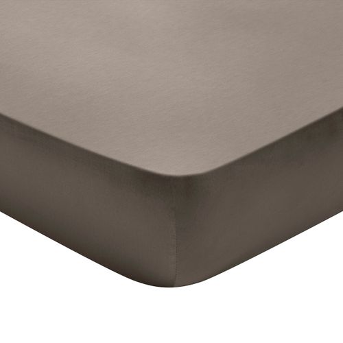 Drap Housse Partition Satin De Coton Coloris Taupe 180 X 200 Cm Marron