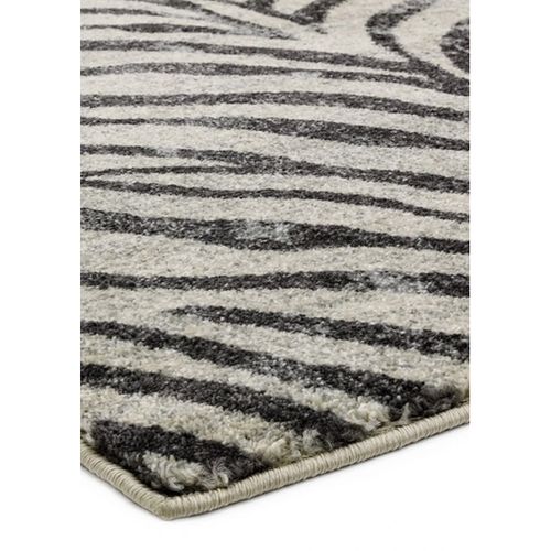 Tapis De Salon Moderne Avon Zebra En Polypropylène - Noir - 200x290 Cm
