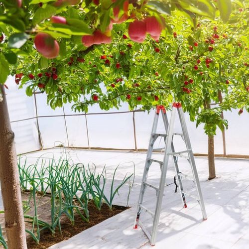 Escabeau Pliable Télescopique Tubulaire 1.51m 4 Marches