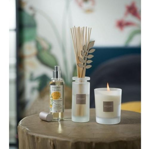 Bouquet Parfumé Fleurs D'oranger 100ml En Verre