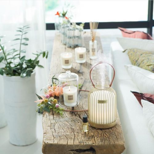 Concentré De Parfum Cèdre Sauvage 15 Ml En Verre