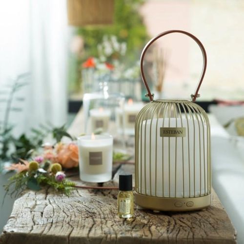 Concentré De Parfum Cèdre Sauvage 15 Ml En Verre