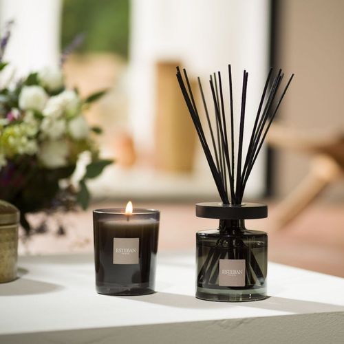 Bouquet Parfumé Ellipse Teck et Tonka 200 Ml En Verre