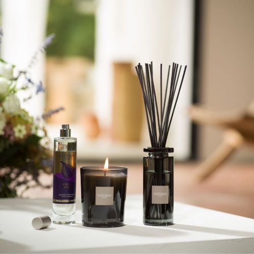 Bouquet Initial Figue Noire 100ml En Verre