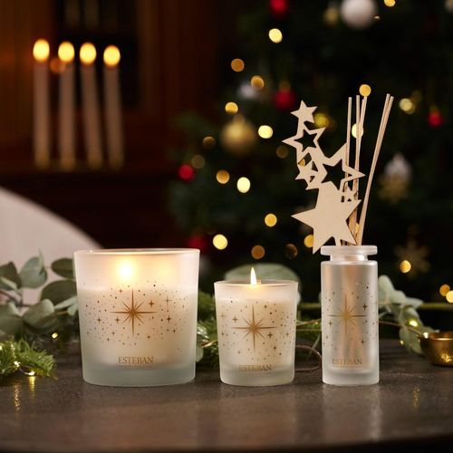 Bouquet Sapin Exquis 100ml En Verre