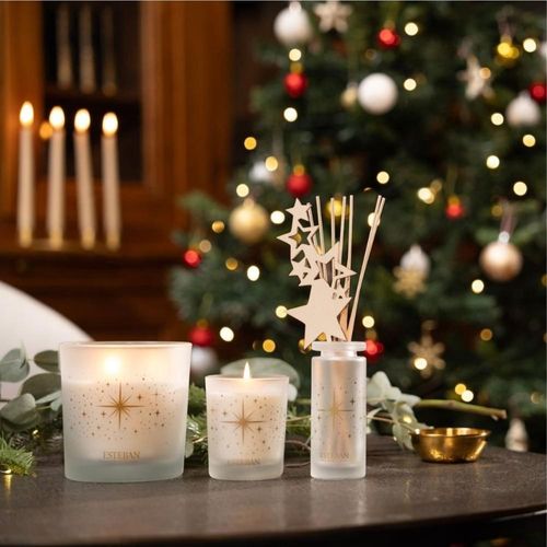 Recharge Bouquet Sapin Exquis 250 Ml En Plastique