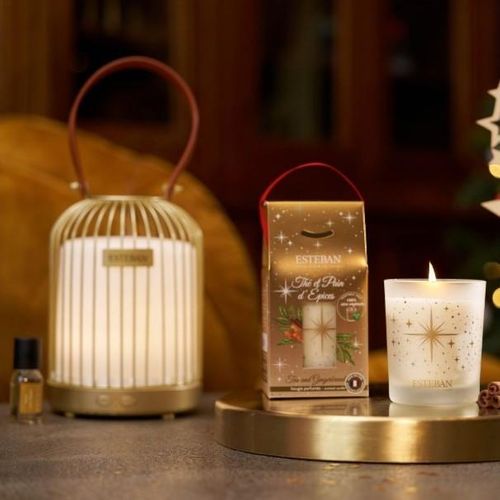 Concentré Thé Et Pain D'épice 15 Ml En Verre