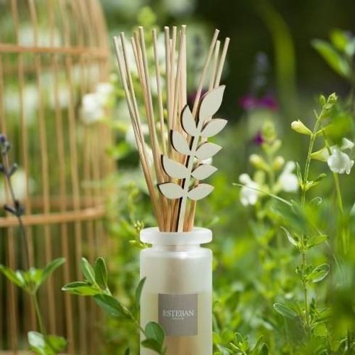 Bouquet Initial Citronnelle Et Menthe 100 Ml En Verre