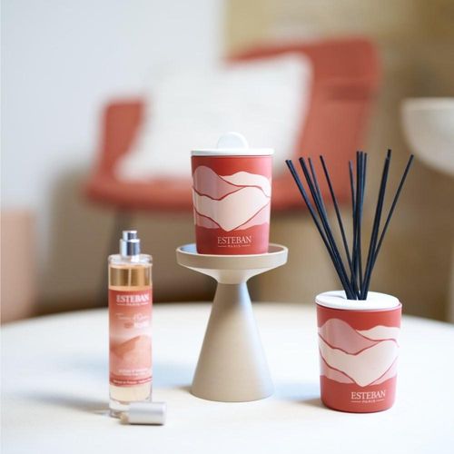 Bouquet Parfumé Terre D'ocre Karité 100 Ml En Céramique