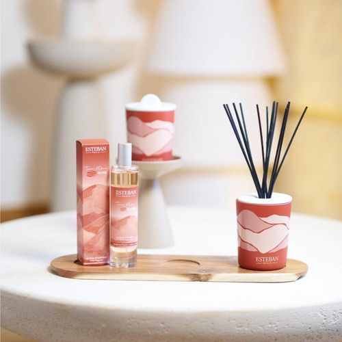 Bouquet Parfumé Terre D'ocre Karité 100 Ml En Céramique