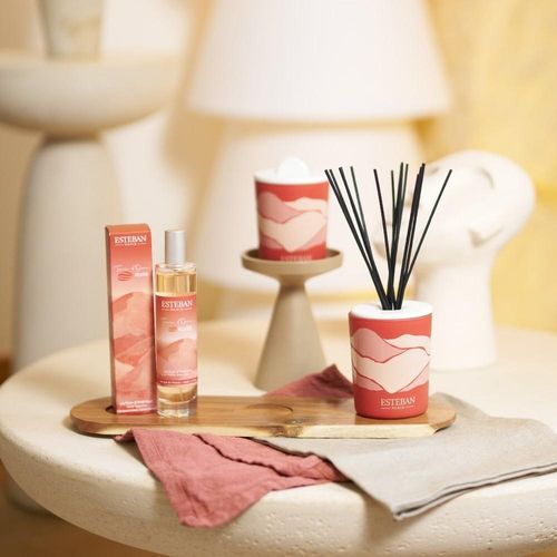 Recharge Pour Bouquet Terre D'ocre Karité 250 Ml En Plastique