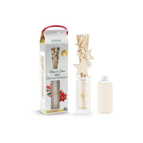 Bouquet Parfumé Baies Et Fleurs D'hiver 100 Ml En Verre
