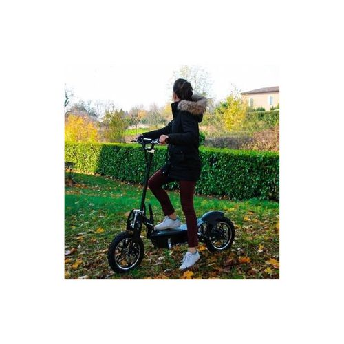 Trottinette Électrique Cross - Beeper Fx1000 - 1000w - Batterie Plomb - 36v