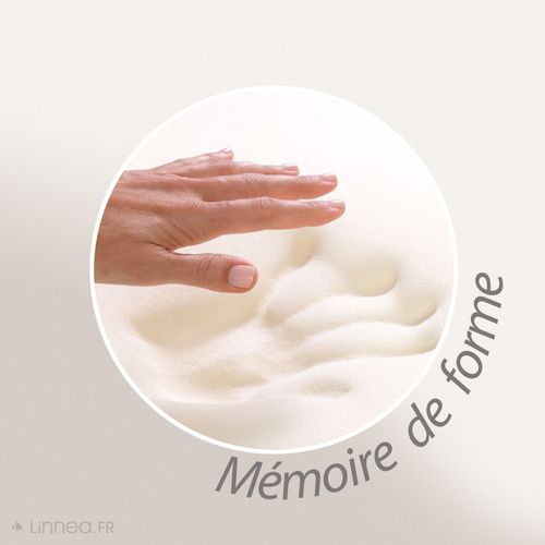 Oreiller Ergonomique 55x40 Cm Pilo Visco-végétal à Mémoire De Forme