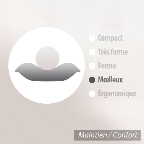 Oreiller 60x60 Cm Grizz'lit Plumes 100% Plumes De Canard