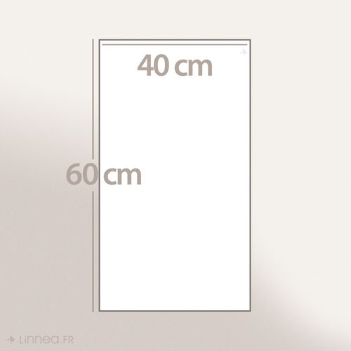 Serviette De Toilette 40x60 Cm Royal Cresent Gris Platine 650g/m2