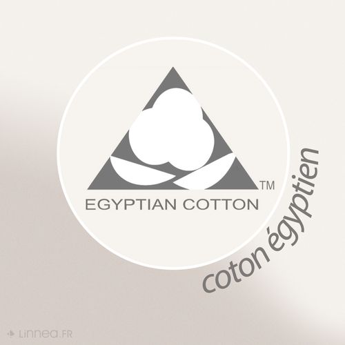 Drap De Bain 100x150 Cm Juliet Marron 520g/m2