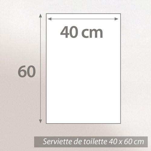 Serviette De Toilette 40x60 Cm Vintage Floral Rose 550g/m2