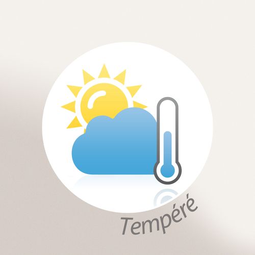 Plaid Tricoté Grosse Maille 120x150 Cm Chunky Jaune