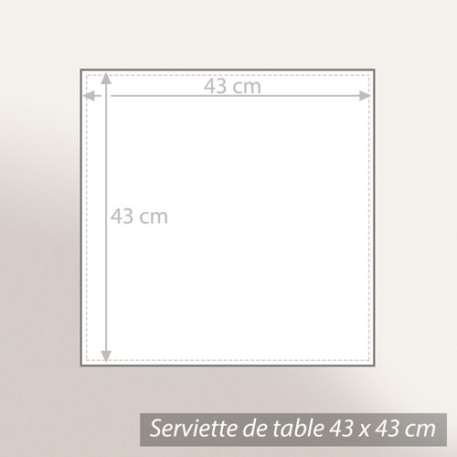 Lot De 4 Serviettes De Table Polycoton 43x43 Cm Aksel Marron Havane
