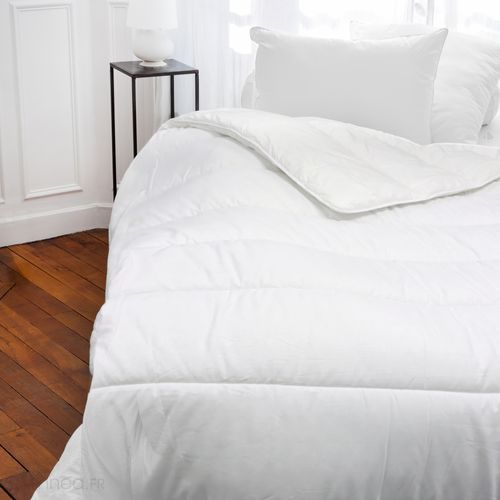 Couette 260x240 Cm Hiver Elsa Garnissage Fibre Polyester 500g/m2