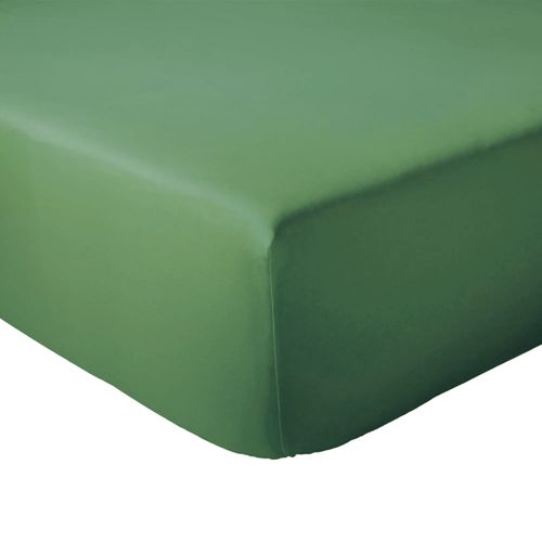Drap Housse 120x190 Cm Bonnet 30 Coton Évasion Vert Fougère