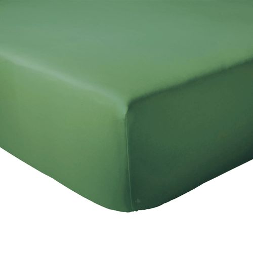 Drap Housse 90x200 Cm Bonnet 30 Coton Évasion Vert Fougère