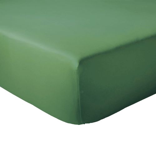 Drap Housse 90x190 Cm Bonnet 23 Coton Évasion Vert Fougère