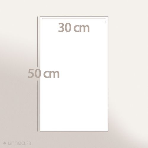 Lot De 2 Serviettes Invité Coton 550g/m2 30x50cm Naïa Vert Olive