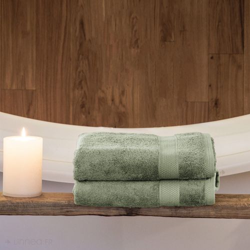Lot De 2 Serviettes Invité Coton 550g/m2 30x50cm Naïa Vert Olive