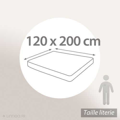 Drap Housse 120x200 Cm Bonnet 30 Cm Percale De Coton Passion Percale Vert Kaki