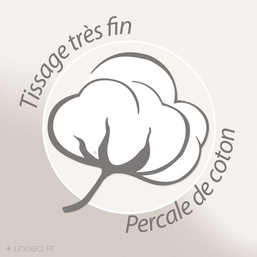 Drap Housse 160x200 Cm Bonnet 30 Cm Percale De Coton Passion Percale Beige Lin