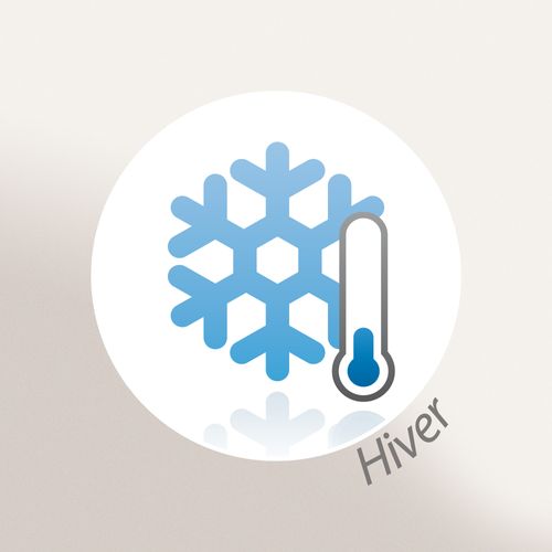 Couette Hiver 260x240 Cm Cocoon Bicolore Bleu Paon/galet Garnissage Fibre Polyester 400g/m2