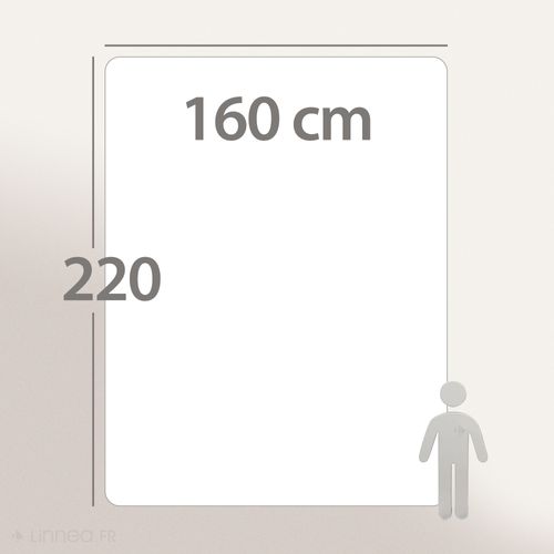 Couette Hiver 160x220 Cm Cocoon Bicolore Prune/parme Garnissage Fibre Polyester 400g/m2