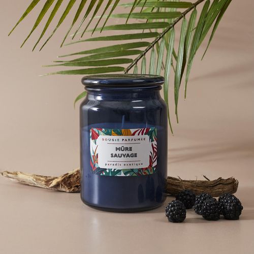 Bougie Parfumée 72 H Paradis Exotique à La Cire De Paraffine Senteur Mûre Sauvage