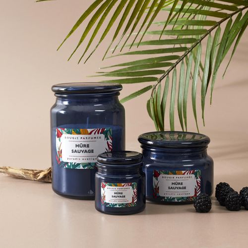 Bougie Parfumée 72 H Paradis Exotique à La Cire De Paraffine Senteur Mûre Sauvage