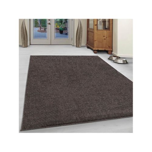 Tapis Uni à Courtes Mèches Pour Salon Rush Marron 200x290