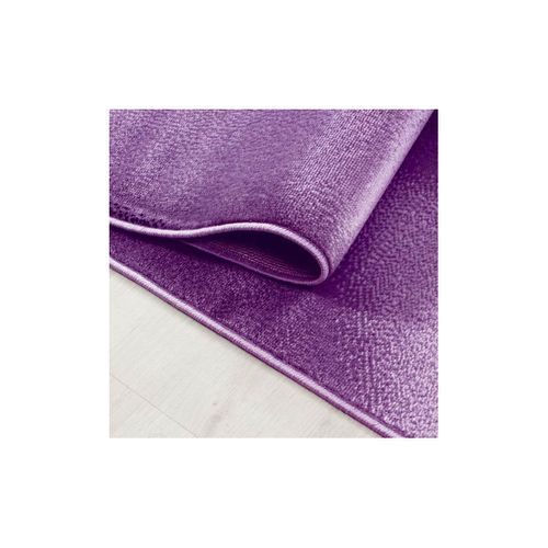Tapis Courbe Moderne à Courtes Mèches Zilfa Lilas 200x290