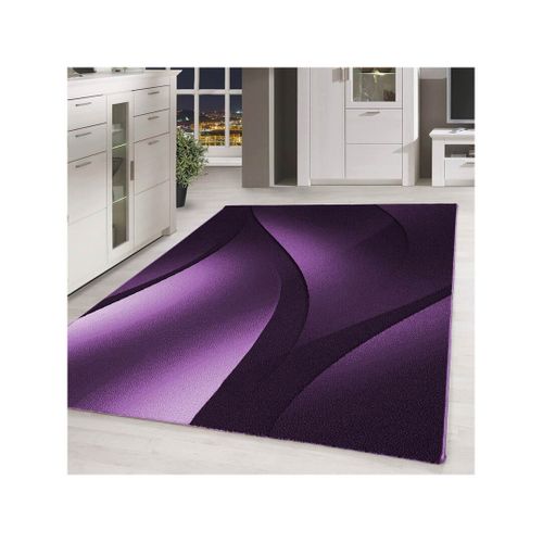 Tapis Effet Courbe Pour Salon Design Rectangle Kris Lilas 120x170