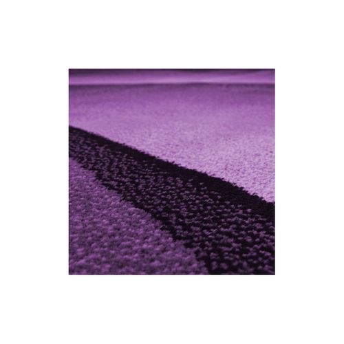 Tapis Effet Courbe Pour Salon Design Rectangle Kris Lilas 200x290