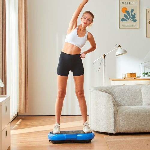 Machine A Vibration 200w Avec 5 Programmes Fit Vib900