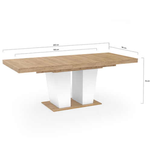 Table à Manger Extensible Rectangle Eliad 6-10 Personnes Bois Et Blanc 160-200 Cm