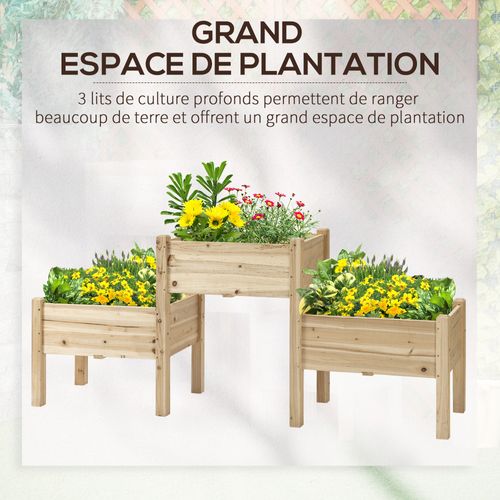 Jardinière Sur Pieds 2 Étages 3 Bacs Inserts D'irrigation Sapin