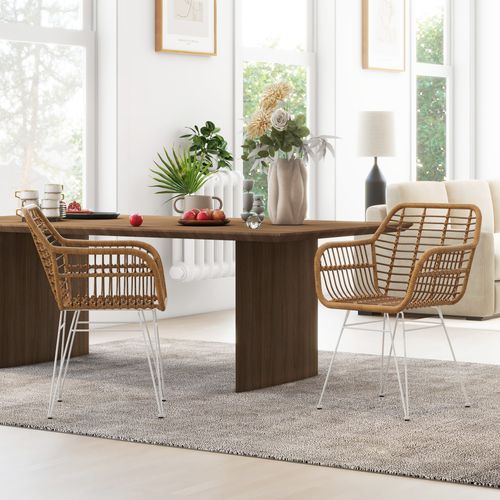 Lot De 2 Chaises De Salon Style Bohème Acier Blanc Résine Tressée Marron