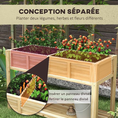 Jardinière Sur Pied - Séparateur Amovible, Étagère - Bois Sapin Autoclave