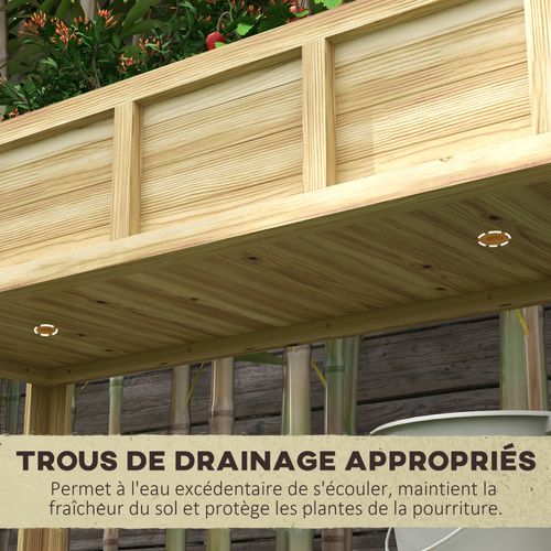 Jardinière Sur Pied - Séparateur Amovible, Étagère - Bois Sapin Autoclave