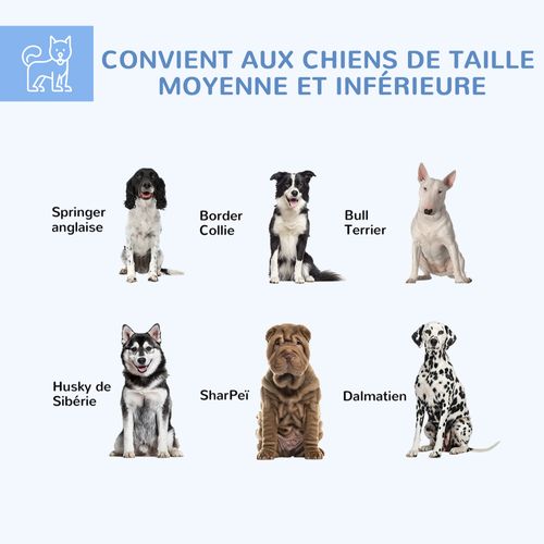 Chenil Pour Chien Entièrement Couvert Acier Gris