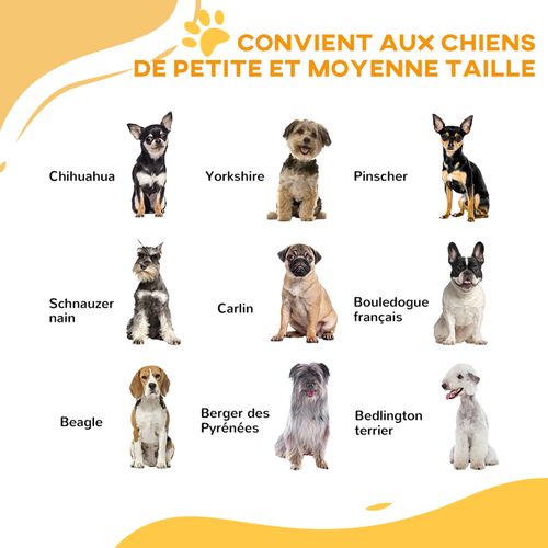 Barrière De Sécurité Chien Ajustable Verrouillable Acier